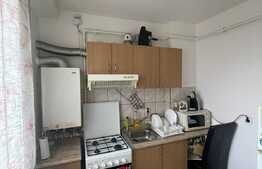 Garsoniera decomandata, pet friendly, zona strazii Oasului