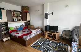 Garsoniera decomandata, pet friendly, zona strazii Oasului