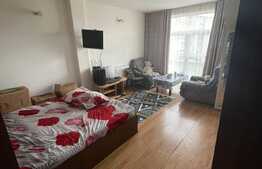 Garsoniera decomandata, pet friendly, zona strazii Oasului