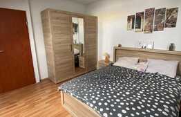Apartament 2 camere, decomandat, 55 mp, A.C., zona UMF