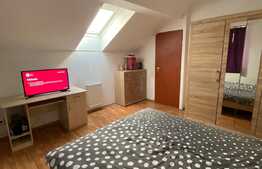 Apartament 2 camere, decomandat, 55 mp, A.C., zona UMF