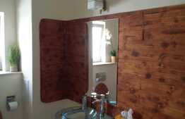 Casa cu destinatii multiple, zona Traian Mosoiu 