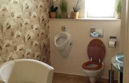 Casa cu destinatii multiple, zona Traian Mosoiu 