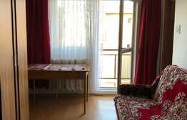 Garsoniera de 25 mp, balcon, zona strazii Cernei