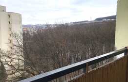 Garsoniera de 28 mp, balcon, zona strazii Parang