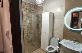 Apartament 2 camere, 2 balcoane, garaj, prima inchiriere, Buna Ziua