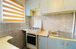 Garsoniera de 30 mp, bucatarie separata, pet friendly, zona strazii Cojocnei