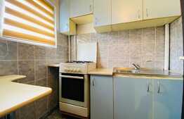 Garsoniera de 30 mp, bucatarie separata, pet friendly, zona strazii Cojocnei