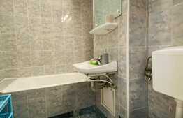 Garsoniera de 30 mp, bucatarie separata, pet friendly, zona strazii Cojocnei