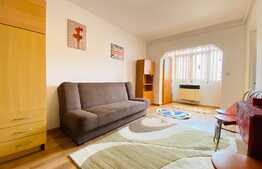 Garsoniera de 30 mp, bucatarie separata, pet friendly, zona strazii Cojocnei
