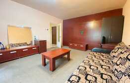 Apartament de 2 camere, spatios, 60 mp, zona Kaufland