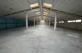 Hala industrială pretabilă pentru depozitare sau activități proprii, 700 mp, parcari, Floresti!