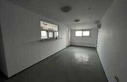 Hala industrială pretabilă pentru depozitare sau activități proprii, 700 mp, parcari, Floresti!