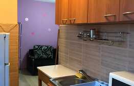 Garsoniera de 28 mp, centrala, zona strazii Primaverii