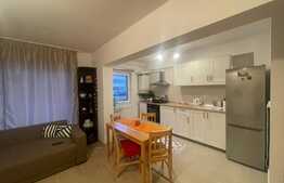 Apartament de 2 camere, parter, zona Sesului de Sus