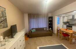 Apartament de 2 camere, parter, zona Sesului de Sus