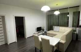 Apartament 2 camere, la cheie, 44 mp., pod, zona Sub Cetate