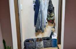 Garsoniera de inchiriat, 25 mp, pet friendly, zona Big