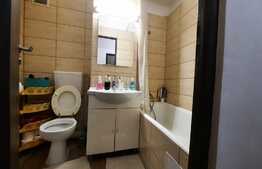 Garsoniera de inchiriat, 25 mp, pet friendly, zona Big