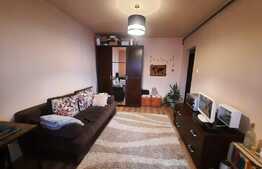 Garsoniera de inchiriat, 25 mp, pet friendly, zona Big