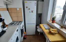 Garsoniera de inchiriat, 25 mp, pet friendly, zona Big