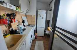 Garsoniera de inchiriat, 25 mp, pet friendly, zona Big