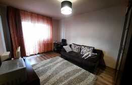Garsoniera de inchiriat, 25 mp, pet friendly, zona Big