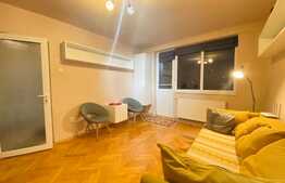 Apartament de 2 camere, 50 mp, pet friendly, zona Iulius Mall