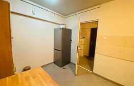 Apartament de 2 camere, 50 mp, pet friendly, zona Iulius Mall