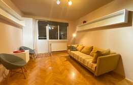 Apartament de 2 camere, 50 mp, pet friendly, zona Iulius Mall