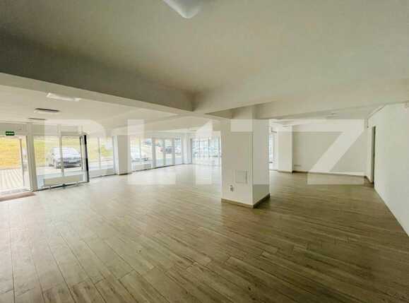 Spațiu comercial de închiriat Sopor - 79551SIC | BLITZ Cluj-Napoca | Poza1