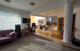 Casa deosebita langa padure, 320 mp utili, 900 mp teren, Sacele