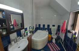 Casa deosebita langa padure, 320 mp utili, 900 mp teren, Sacele