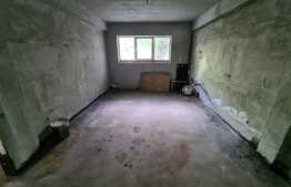 Apartament 2 camere, semifinisat, 43 mp., zona Lidl