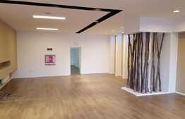 Spatiu comercial/showroom, 660 mp, zona Observatorului