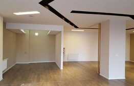 Spatiu comercial/showroom, 660 mp, zona Observatorului