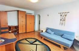 Apartament de 2 camere, etaj intermediar, balcon, zona Septimiu Albini