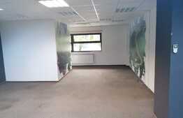 Birou modern finisat, 211 mp, zona Andrei Muresanu, 3 parcari 