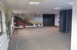 Birou modern finisat, 211 mp, zona Andrei Muresanu, 3 parcari 