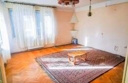 Casă boemă de 166 mp utili, 540 mp teren, Centrul Civic