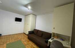 Garsoniera de inchiriat, modern mobilata, 28 mp, pet friendly, zona Expo Transilvania