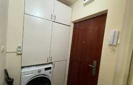 Garsoniera de inchiriat, modern mobilata, 28 mp, pet friendly, zona Expo Transilvania