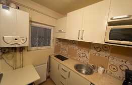 Garsoniera de inchiriat, modern mobilata, 28 mp, pet friendly, zona Expo Transilvania