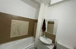 Garsoniera de inchiriat, modern mobilata, 28 mp, pet friendly, zona Expo Transilvania