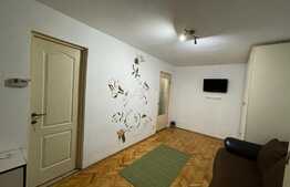 Garsoniera de inchiriat, modern mobilata, 28 mp, pet friendly, zona Expo Transilvania