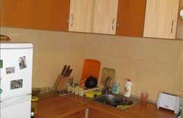 Vanzare apartament 1 camera, 26.5 mp utili, zona Horea, cu parcare