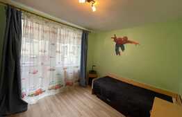 Apartament de 3 camere, 55 mp, pet friendly, parcare, zona Fagului