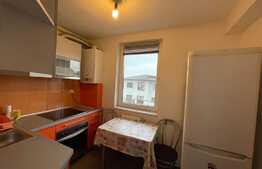 Apartament de 3 camere, 55 mp, pet friendly, parcare, zona Fagului