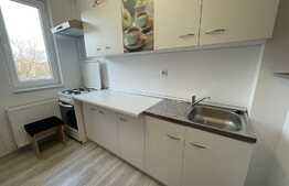 Apartament 2 camere, decomandat, 45 mp, parcare, zona Abatorului