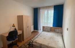 Apartament de doua camere, 30 mp, zona Porii 